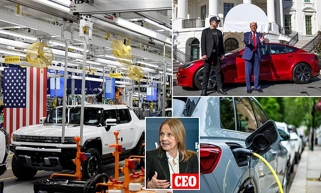 www.dailymail.co.uk